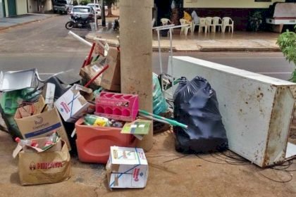 Meio Ambiente quer combater descarte de lixo, plantio irregular e fixação de placas nos canteiros centrais de TL