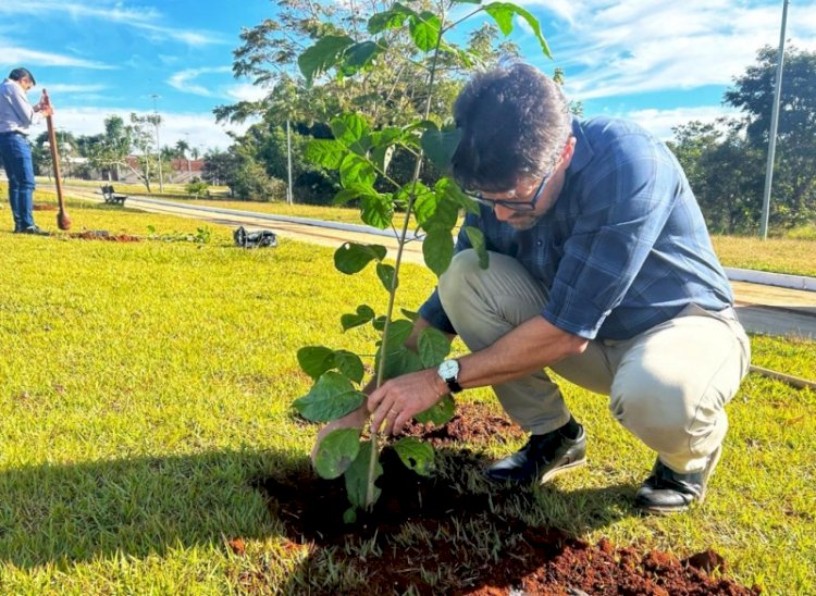 Plantio de mudas no Parque ecológico reforça importância de preservar o Meio Ambiente