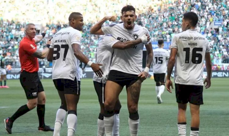 Botafogo vence Palmeiras no Allianz Parque e amplia liderança do Brasileirão