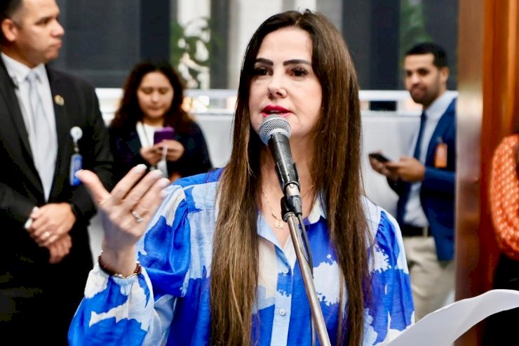 Iguatemi: Mara Caseiro solicita equipamento para atender associação de apicultores